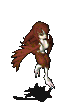 101830.gif