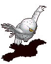 1651544300763329.gif 109772_4_0.gif