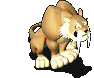 116131.gif