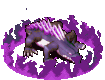 108082_4_0.gif